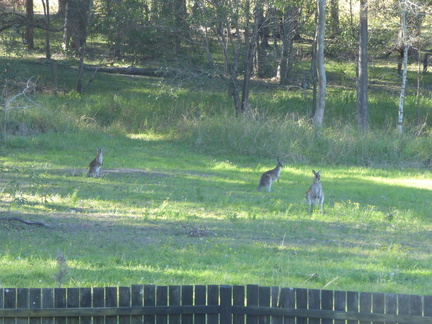 P1010346 (2023 05 06 10 02 27 UTC)