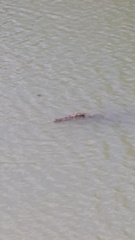 Cahills-crossingIMG 20200908 125356