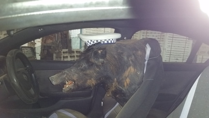 Daly Waters20200817 091649