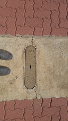 Augathela  12