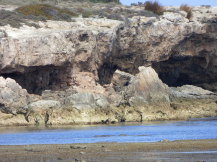 Gleesons landing and Marion bay 7-02-201922